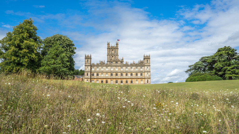 Highclere Castle wild flower meadow