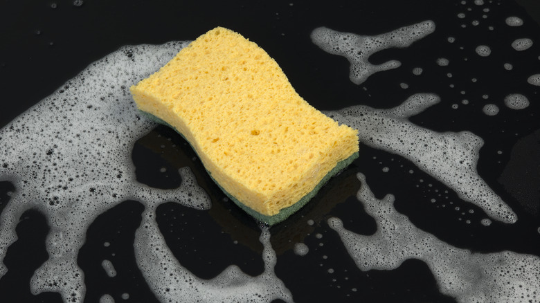 Soapy sponge on counter