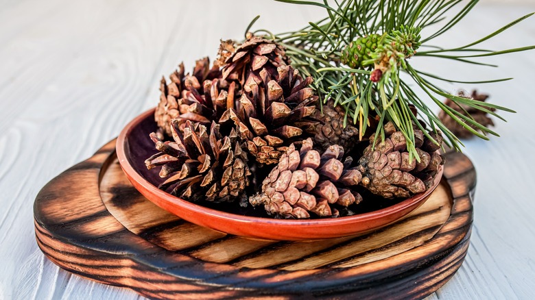 Pinecones in decorative bowl