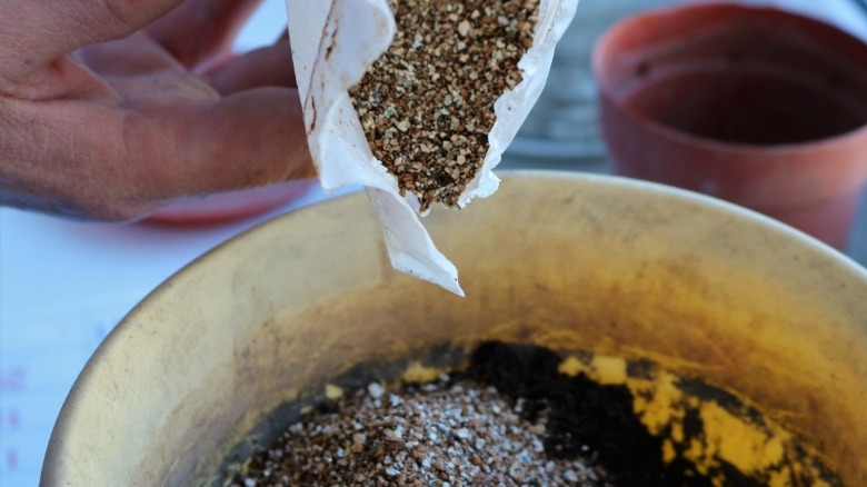 Adding fertilizer to potting soil in pot 