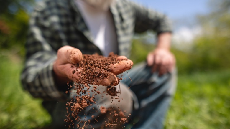 Man handling potting soil 