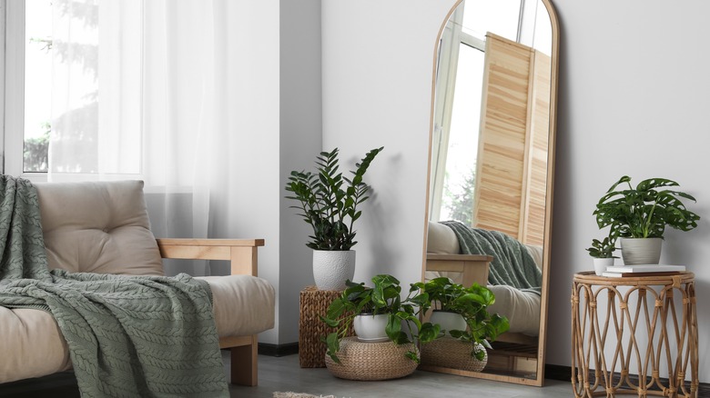 Mirror and plants by couch