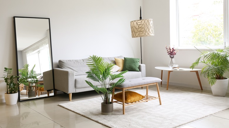 Mirror in living room with plants