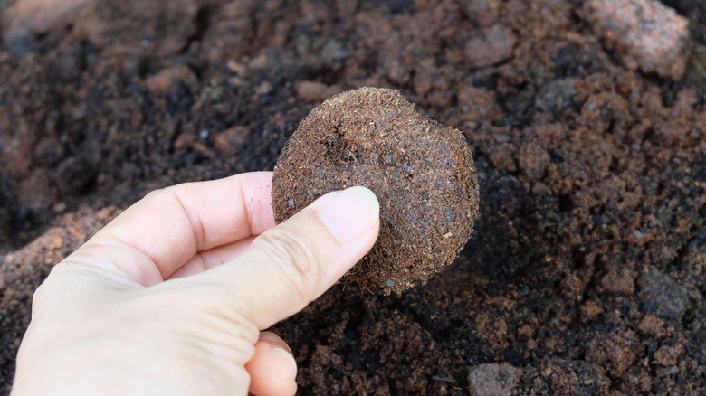 Coffee grounds in hand