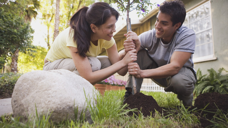 people planting a tree