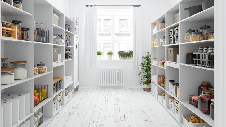 Clean organized pantry