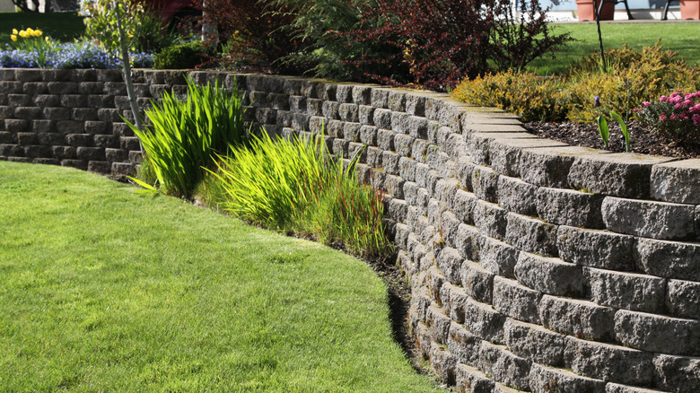 Retaining wall in a backyard