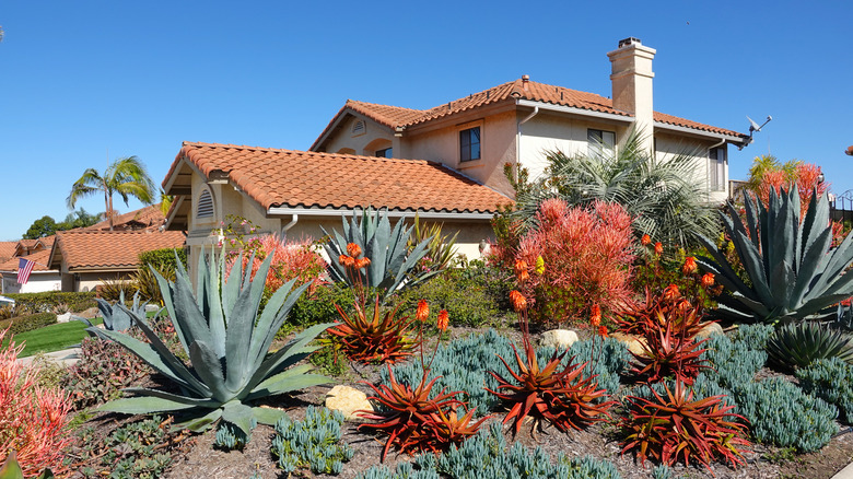 house with drought resistant landscaping