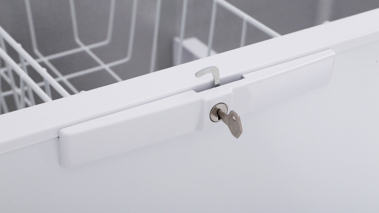 Freezer door with lock