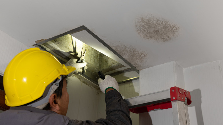 A worker opens a hole in ceiling to fix a mold issue