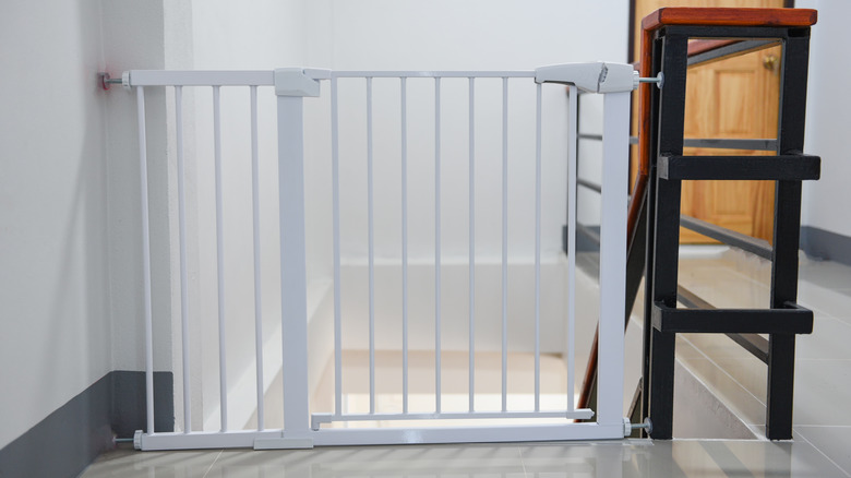 Baby gate by steps