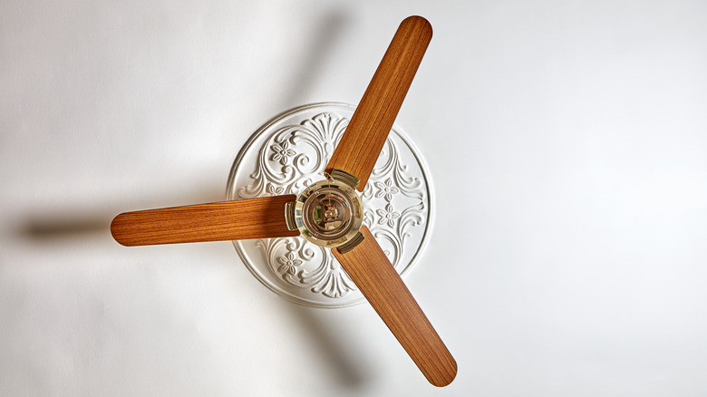 fan with ceiling medallion