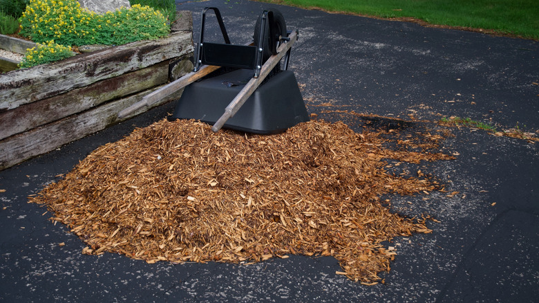 Pine bark mulch in driveway