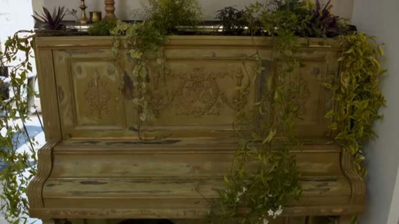 A piano with a weathered look that has been turned into a planter for household plants.