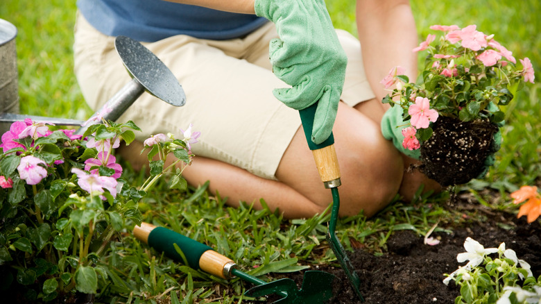 caring for garden tools