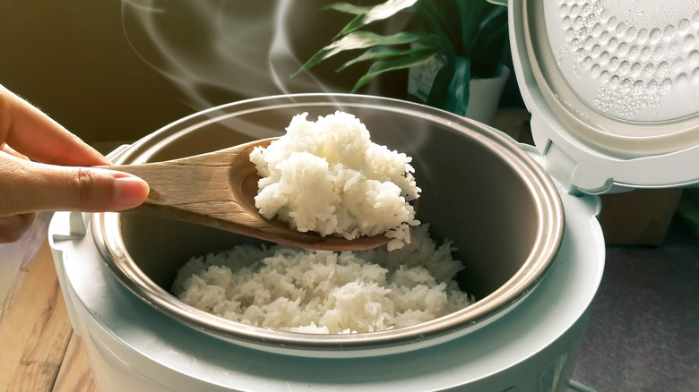 scooping rice from rice cooker