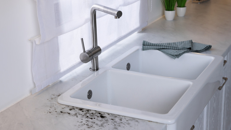 Black mold on white countertop next to sink