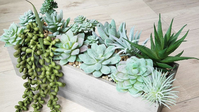 Amazon succulents to glue on to planter