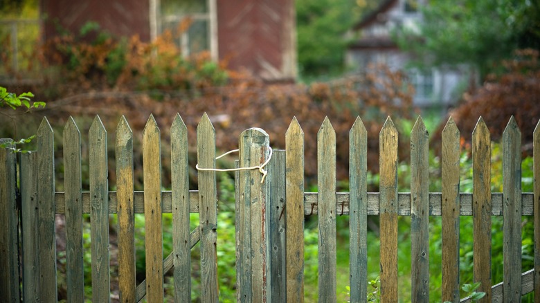 Old fence in backyard