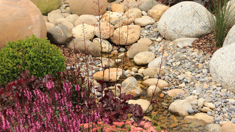 rocky landscape in yard