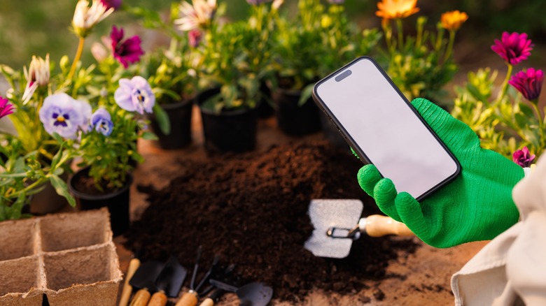 gardener holding mobile device gardening