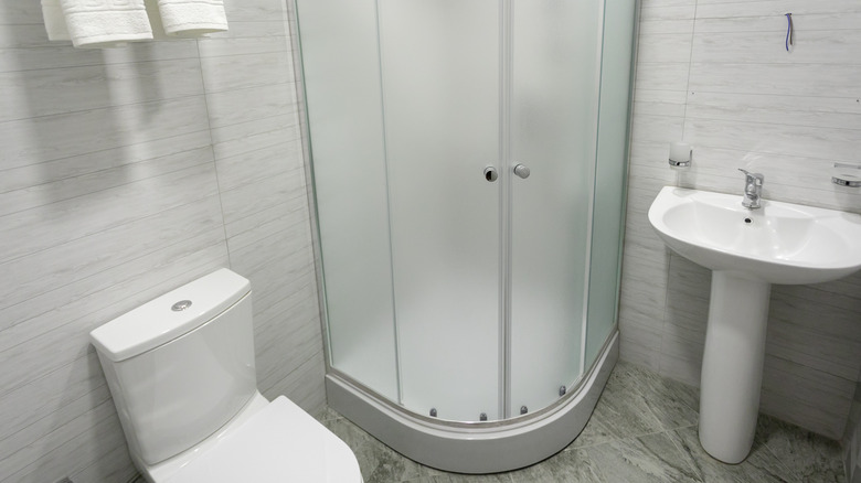 Frosted glass shower doors