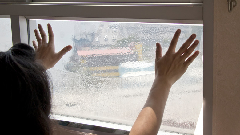 woman applying privacy film to window