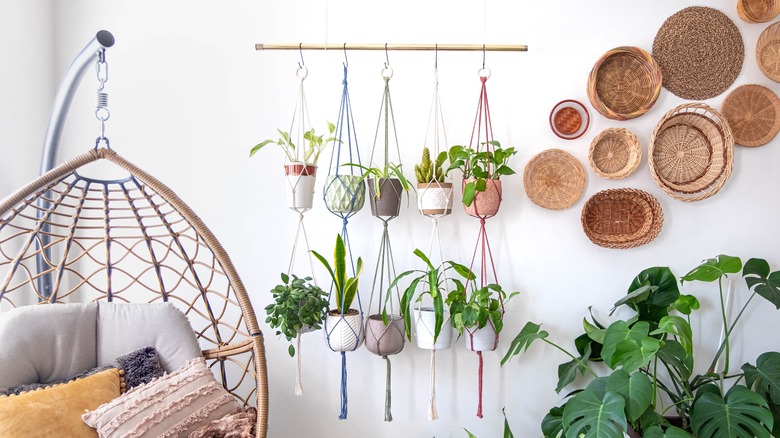 Hanging macrame plants 