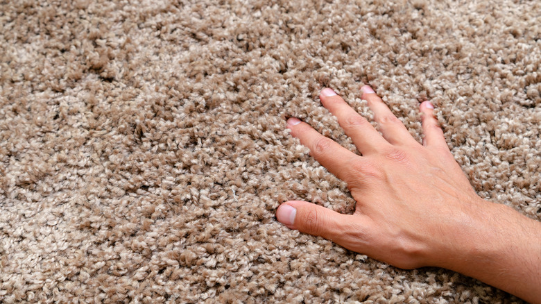 hand on carpet