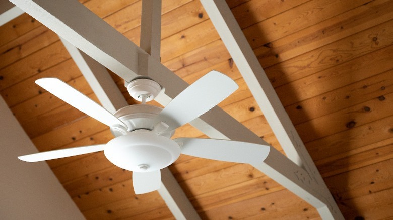 White ceiling fan