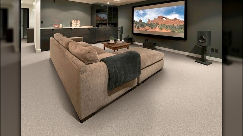 Beige carpet in basement