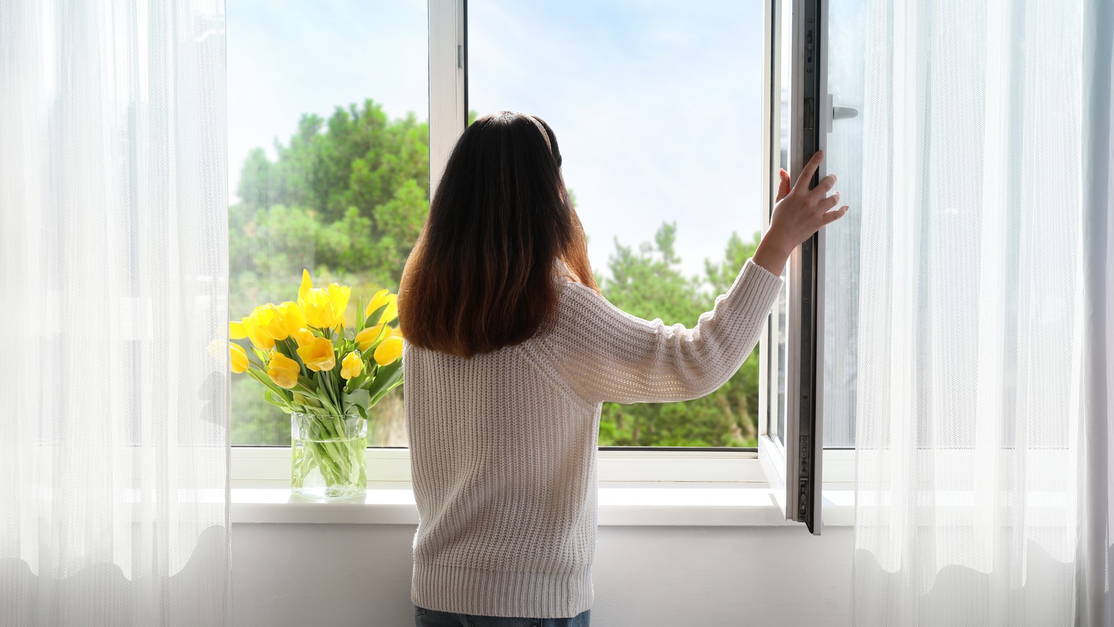 Home Depot Or Lowe's Which Has Better Deals On Replacement Windows?