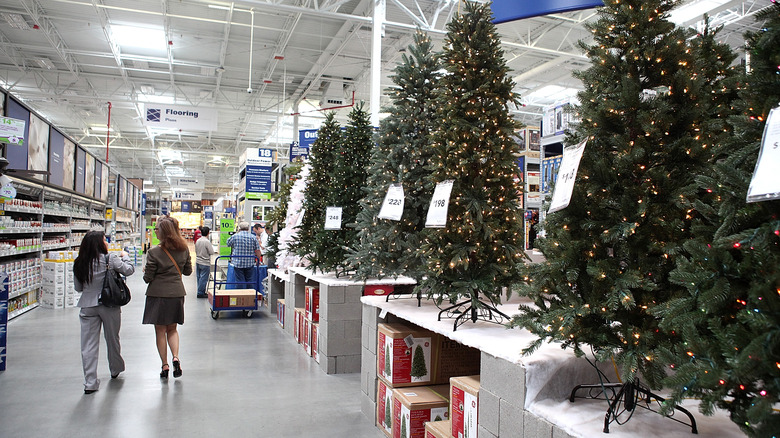 Trees for sale at Lowe's