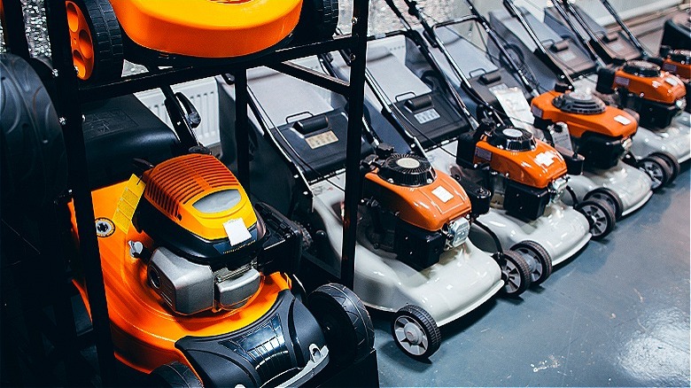 Lawn mowers lined up in store