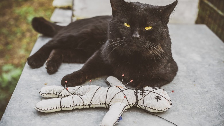 Black cat with voodoo doll humorous 