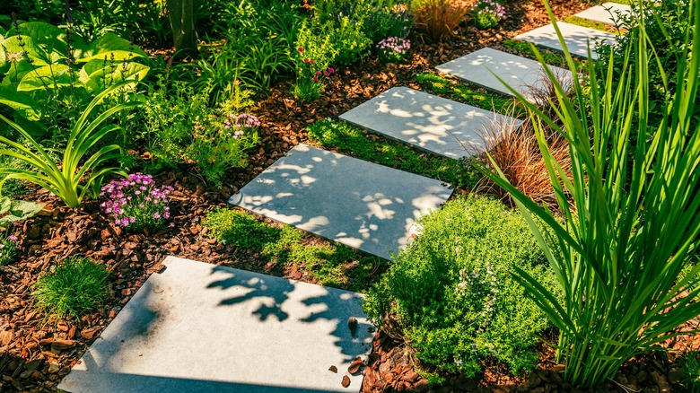 Garden path with stone slabs with bark mulch and native plants