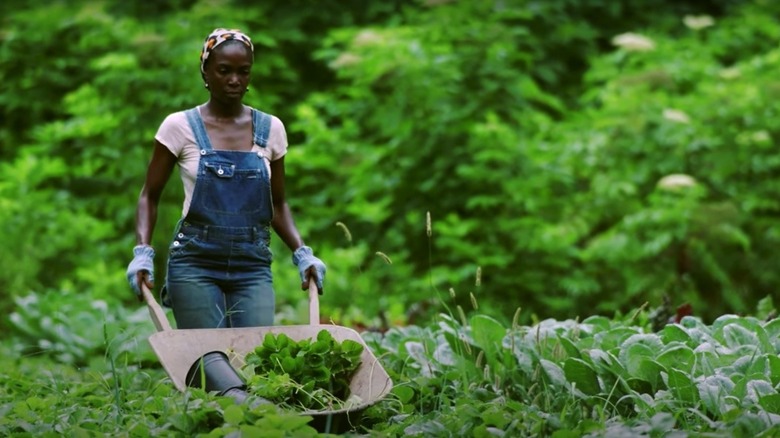 Jamila Norman pushing wheelbarrow