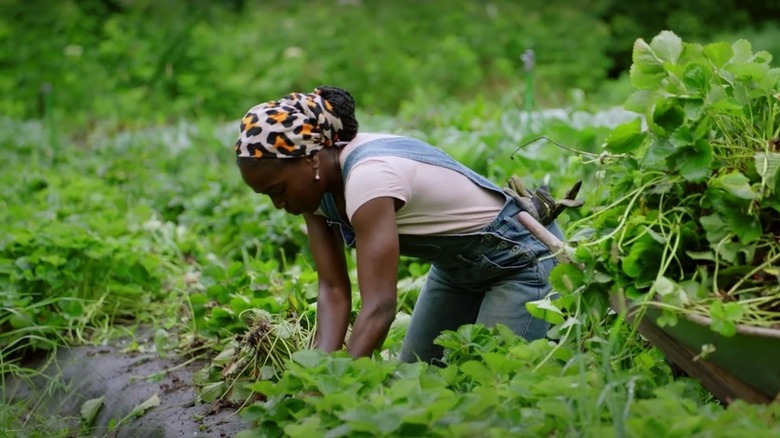 Jamila Norman working in the garden