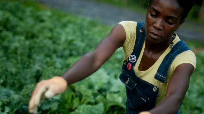 Jamila Norman Patchwork City Farms