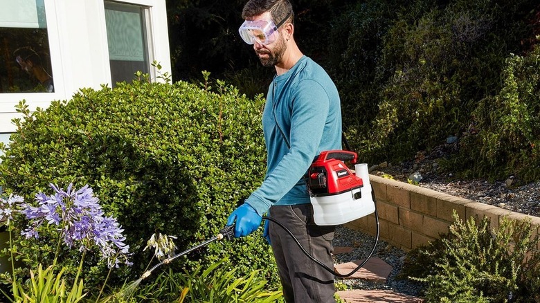 Man using a Bauer 20V 1-Gallon Chemical Sprayer on weeds