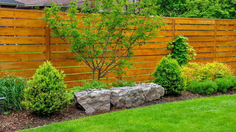 Landscaping and horizontal privacy fence