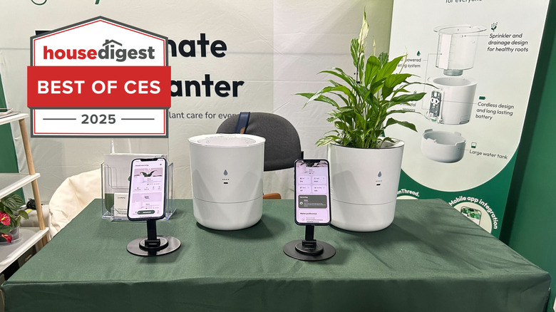 Two LeafyPod Smart Planters on countertop, one empty and one with plant