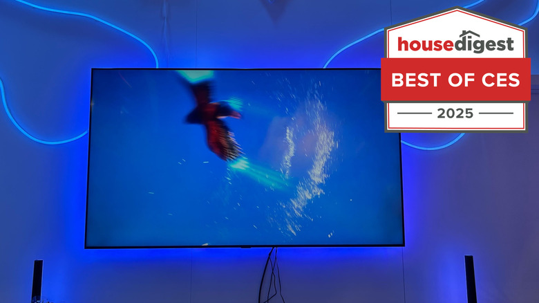 Bird on TV screen with blue lights around it