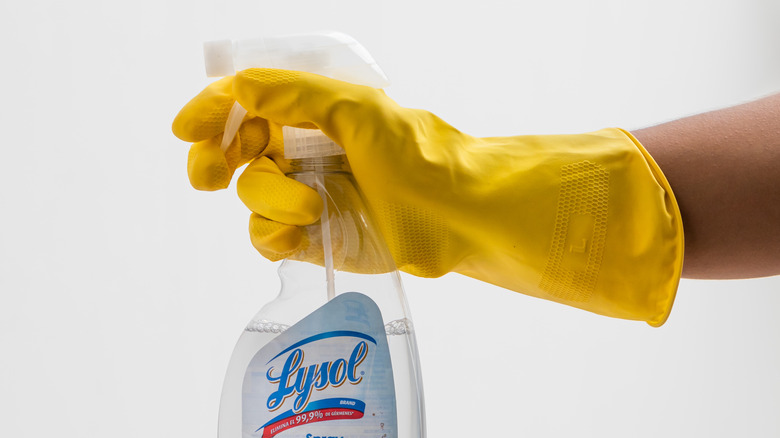 A hand holding a bottle of Lysol
