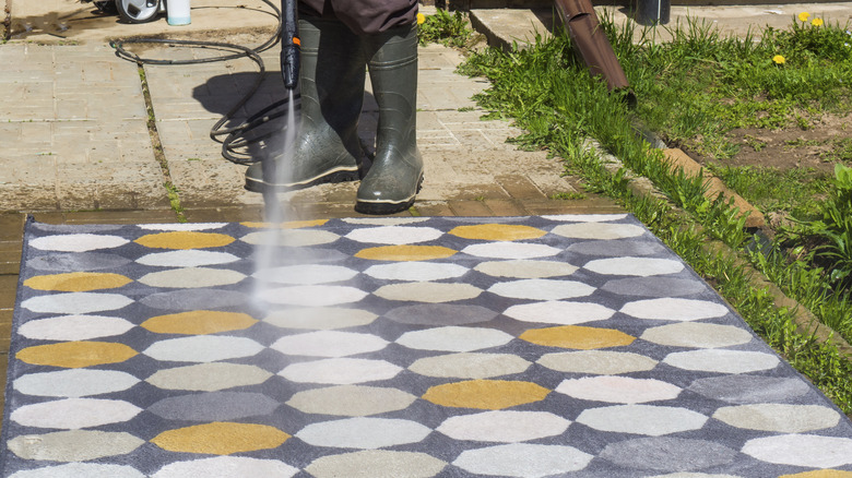 Spraying rug outside