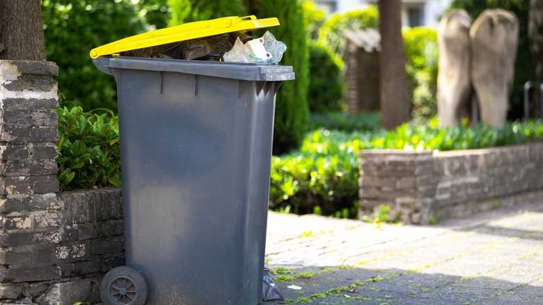 Outdoor trash bin