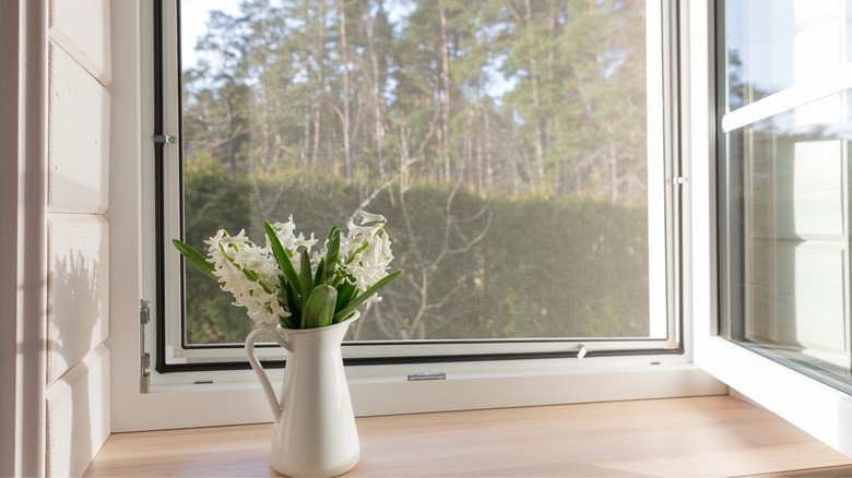 Flowers in front of screen