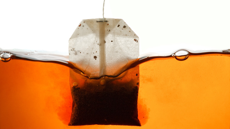 Black tea bag brewing