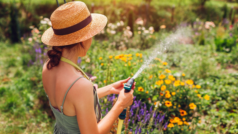 A woman watering her plants outside