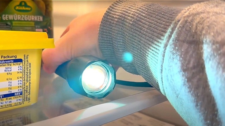 Person placing flashlight in refrigerator